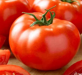 Tomato -Tolek -20 Seeds