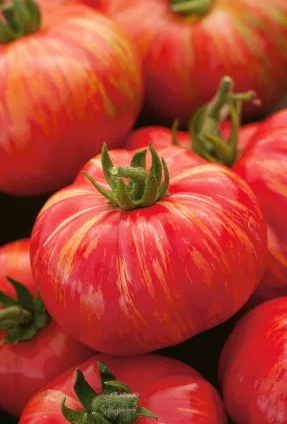 Tomato -Duo -20 Seeds