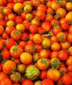 Tomato -Tigerella -20 Seeds