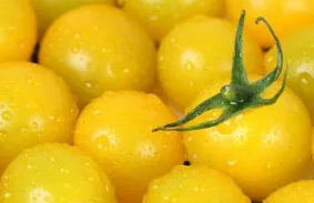 Tomato -Aztek -20 Seeds