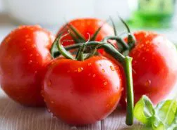 Tomato -Betalux -20 Seeds