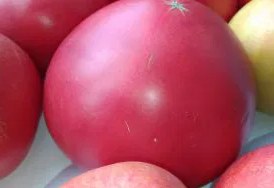 Tomato -Malinowy Retro -20 Seeds