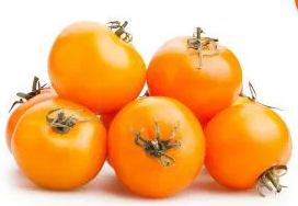Tomato -Zlatava -20 Seeds