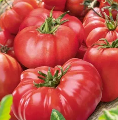 Tomato -Raspberry-20 Seeds