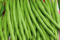Dwarf green French bean "Saxa" - 30 Seeds