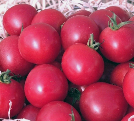 Tomato -Sweet Treats- Cherry - 20 Seeds