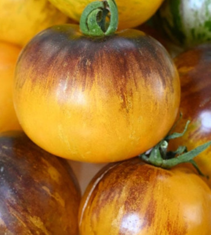 Tomato - Double Life - 20 Seeds