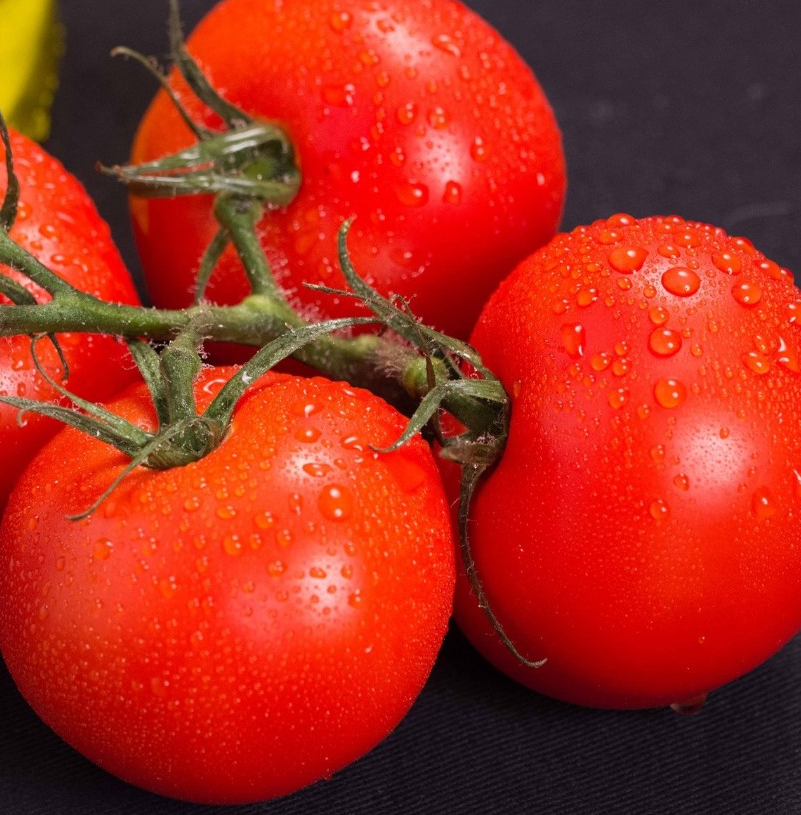 Tomato - Bonsai - 20 Seeds