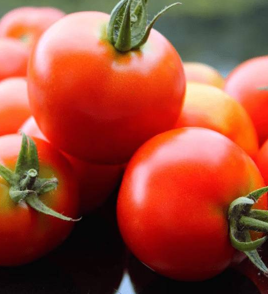 Tomato - Sovereign F1 - 20 Seeds