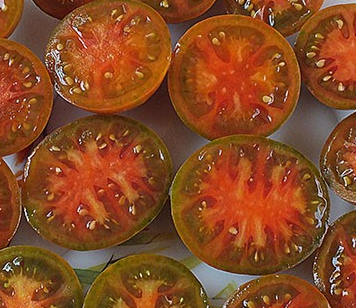 Tomato - Evil Olive - Cherry - 20 Seeds