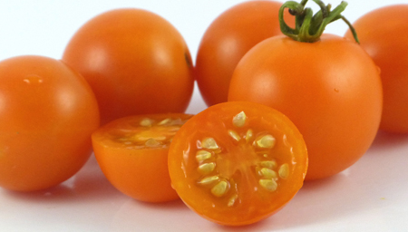 Tomato - Santiam Sunrise - Cherry - 20 Seeds