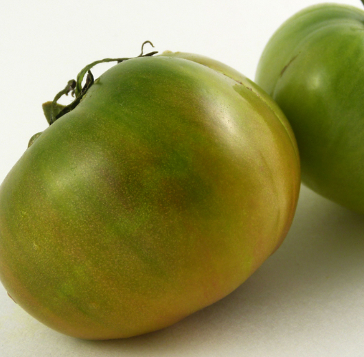 Tomato - Muddy Mamba - Beefsteak / Oblate - 20 Seeds