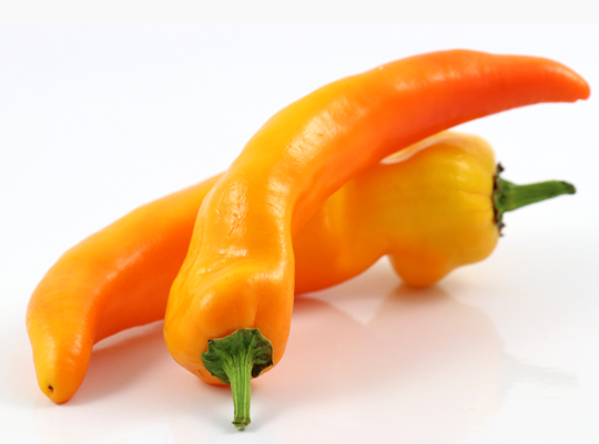 Pepper - Gatherer’s Gold Sweet Italian - Sweet - 50 seeds