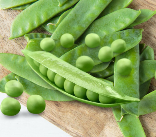 Pea - Mangetout Snow Pea Oregon ( Pisum sativum ) 200 Seeds