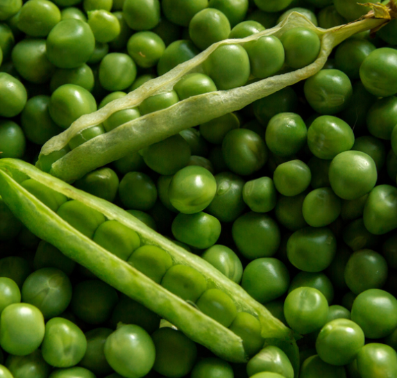 Pea Hurst Greenshaft ( Pisum sativum ) 200 Seeds