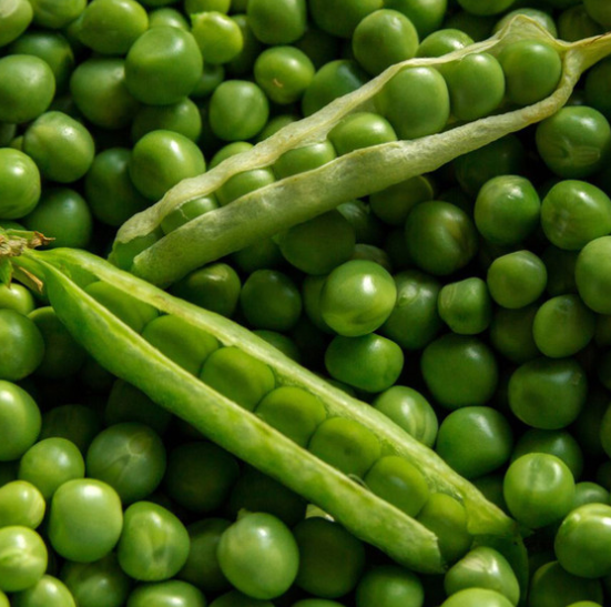 Pea - Feltham First ( Pisum sativum ) 200 Seeds