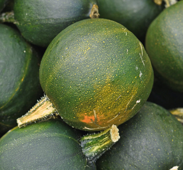 Squash Little Gem 10 Seeds