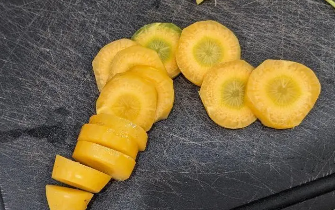 Solar Yellow Carrot 80 Seeds