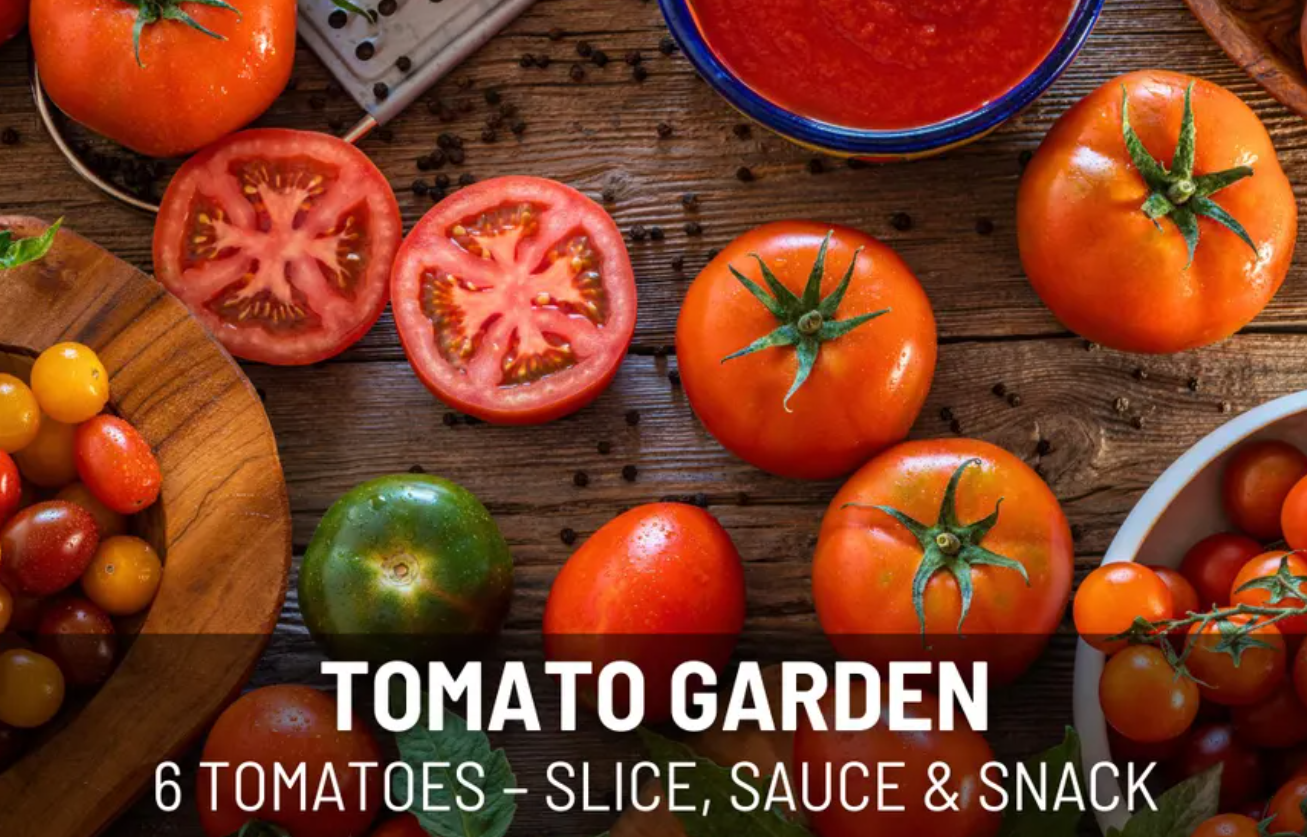 Tomato Garden Seed Collection – 6 - Pack