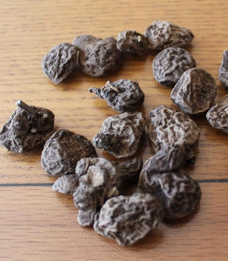 Anemone Fullstar Blue 6 Bulbs