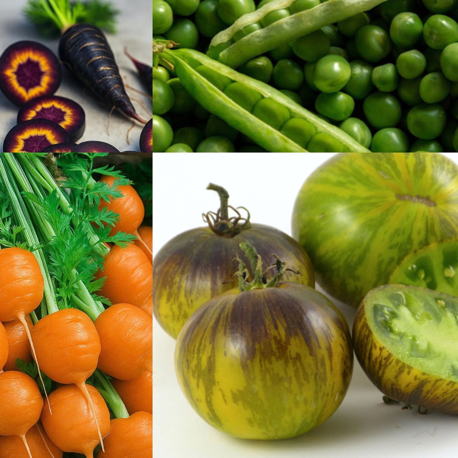 Vegetable Seeds