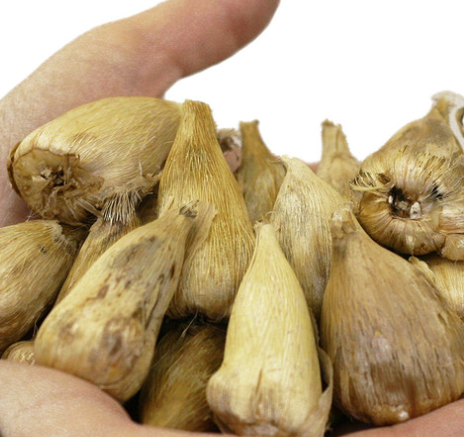 Freesia Double Purple 5 Bulbs