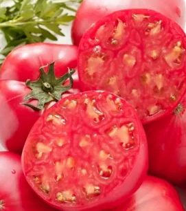 Tomato -Bawole Serce-20 Seeds
