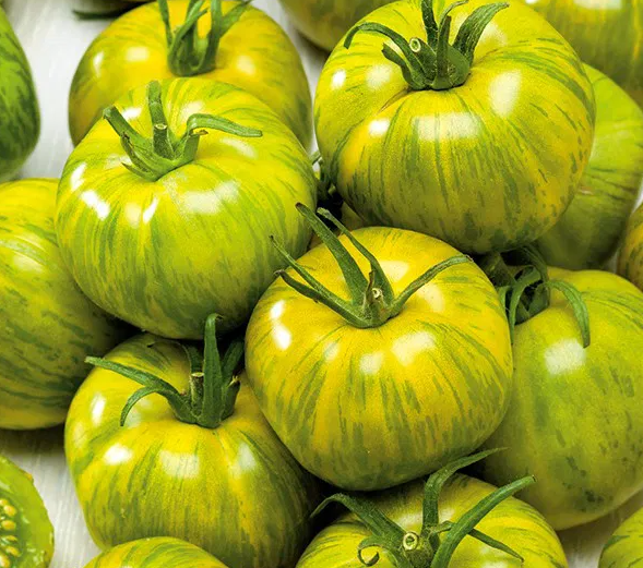 Tomato -Smarald -20 Seeds