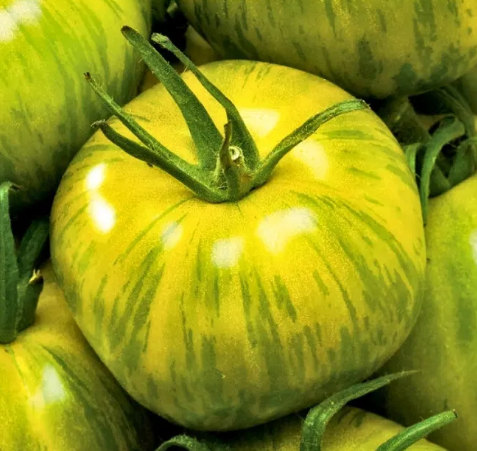 Tomato -Smarald -20 Seeds
