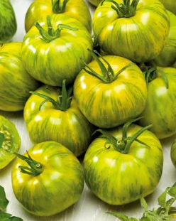 Tomato -Smarald -20 Seeds