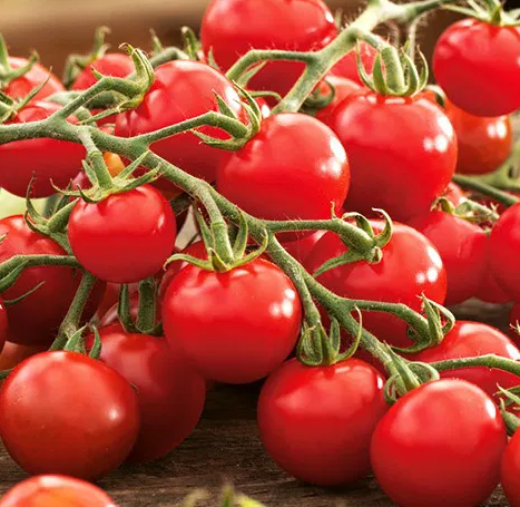 Tomato -Idyll-20 Seeds