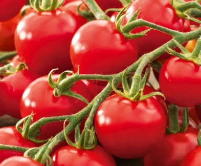 Tomato -Idyll-20 Seeds