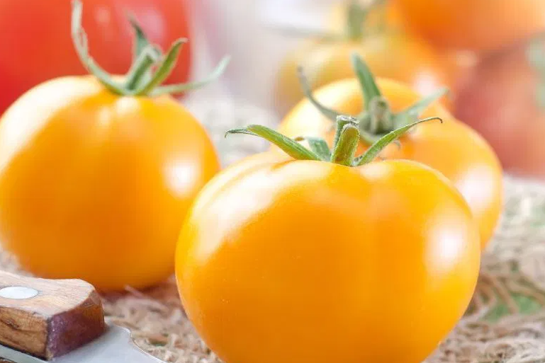 Tomato -Vibrant Orange-20 Seeds