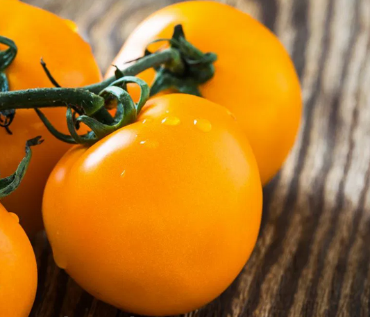Tomato -Vibrant Orange-20 Seeds