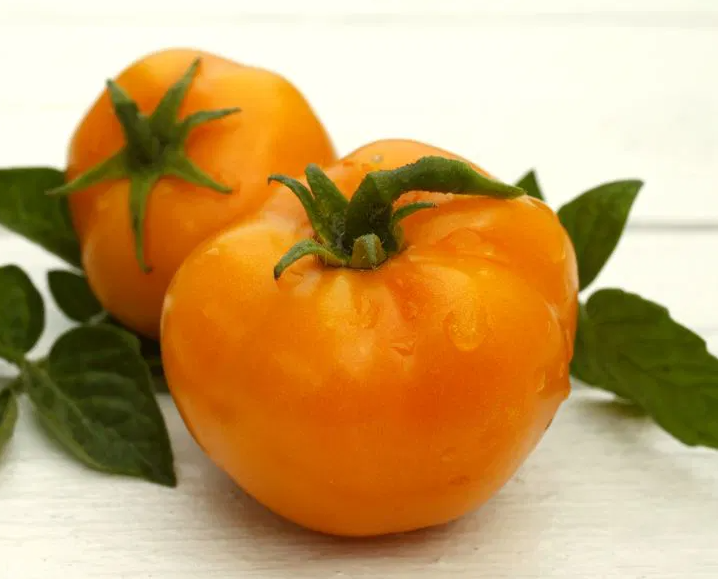 Tomato -Vibrant Orange-20 Seeds