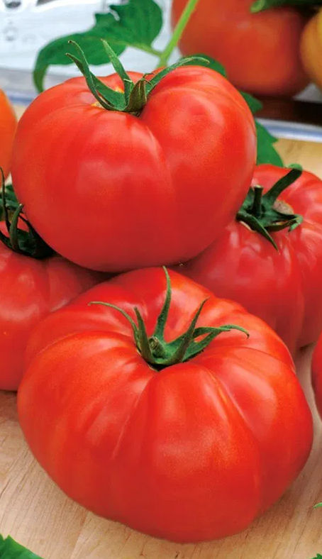 Tomato -Saint-Pierre-20 Seeds