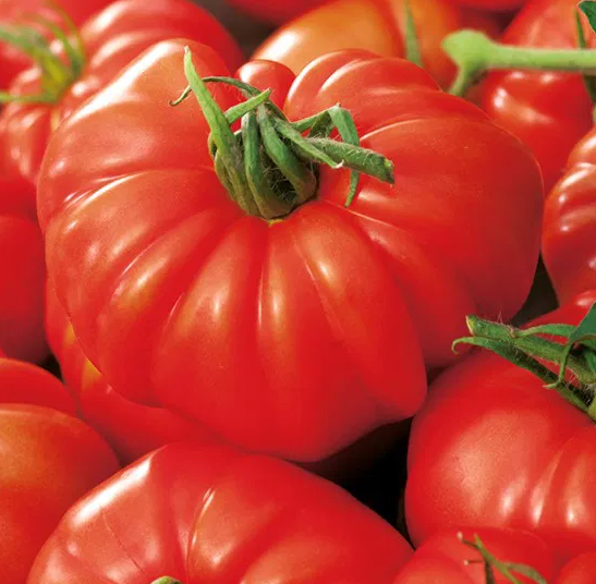 Tomato -Marmande -20 Seeds