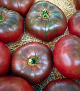 Tomato -Noire de Crimee-20 Seeds