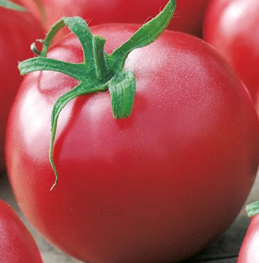 Tomato -Malinowy Kujawski-20 Seeds