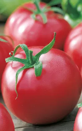 Tomato -Malinowy Kujawski-20 Seeds