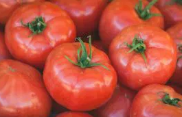 Tomato -Tolek -20 Seeds