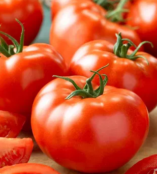 Tomato -Tolek -20 Seeds