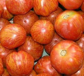 Tomato -Tigerella -20 Seeds