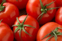 Tomato -Betalux -20 Seeds