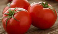 Tomato -Adam F1 -20 Seeds