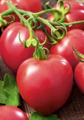 Tomato -Malinowy Retro -20 Seeds