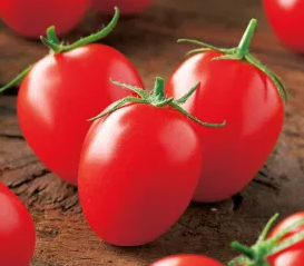 Tomato -Principe Borghese-20 Seeds