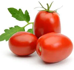 Tomato -Rio Grande-20 Seeds