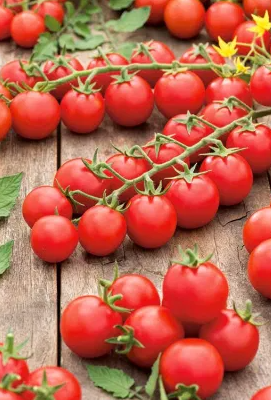 Tomato -Cherrola F1-20 Seeds