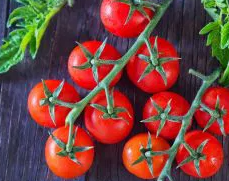 Tomato -Cherrola F1-20 Seeds